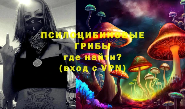 mdpv Переславль-Залесский