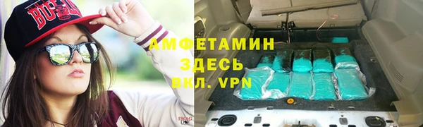 сатива Осинники