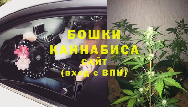 твердый Осташков