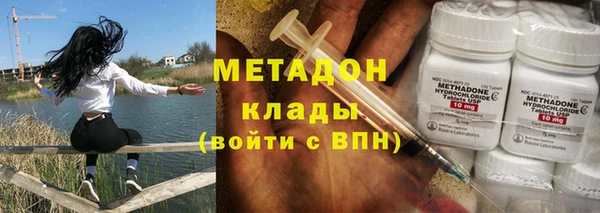 сатива Осинники