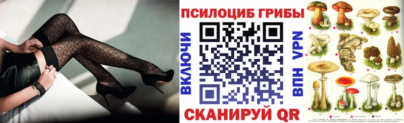 Галлюциногенные грибы Cubensis kraken как зайти Новотроицк