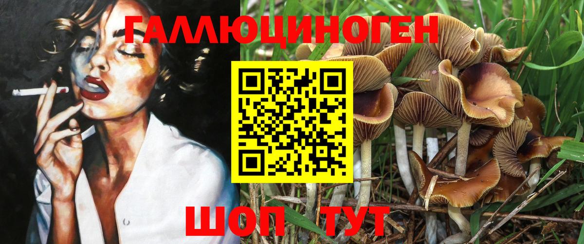 Галлюциногенные грибы Cubensis Новотроицк