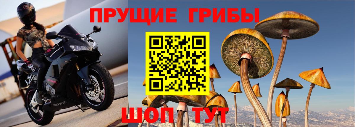 Новотроицк  Галлюциногенные грибы Psilocybine cubensis  Вход с VPN  Псилоцибиновые грибы мухоморы 