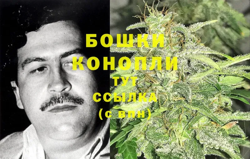 цены   OMG как войти  Каннабис Ganja  Новотроицк 